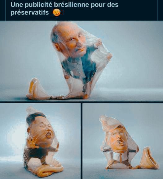 6_n.jpg