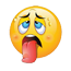 CANICUL2